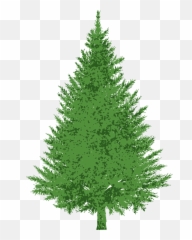 Library Of Royalty Free Evergreen Tree Png Files - Clipart Of Evergreen Tree