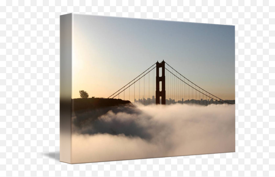 Lone Tree Golden Gate Bridge Morning Fog By Sf Bay Images - Golden Gate Bridge Png,Golden Gate Bridge Png