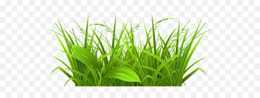 Weeds Clipart - Grass Png Images Hd,Weeds Png