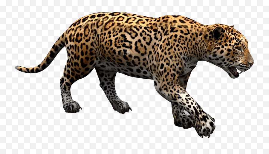 Download Free Png Jaguar - Jaguar Png,Jaguar Png