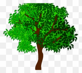 Clip Art Cartoon Tree Image Summer - Free png