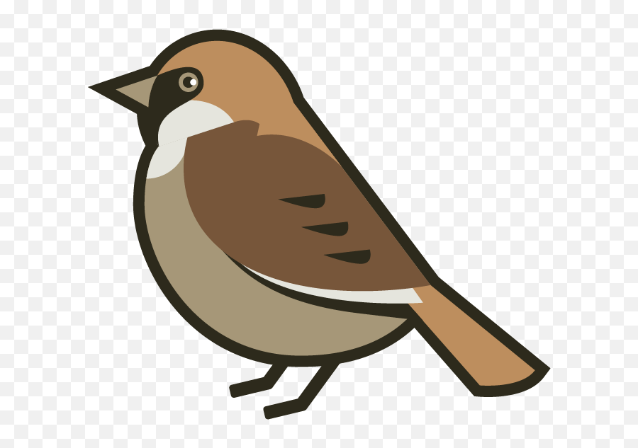 Library Of House Sparrow Png Download Files - Sparrow Clipart Png,Sparrow Png