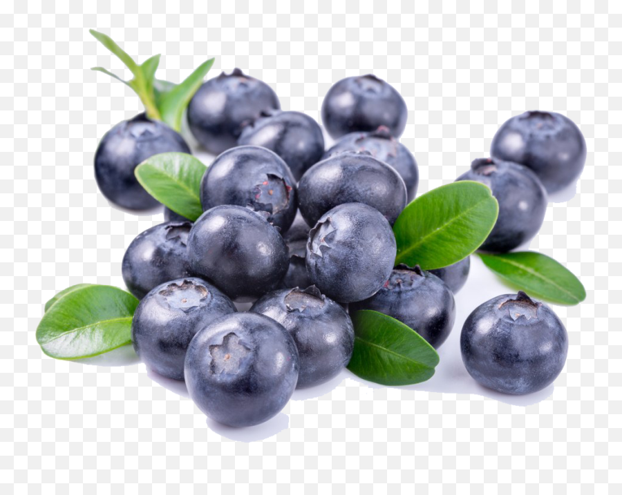 Blueberries Png File Download Free - Vaccinium Myrtillus Flower Extract,Blueberries Png