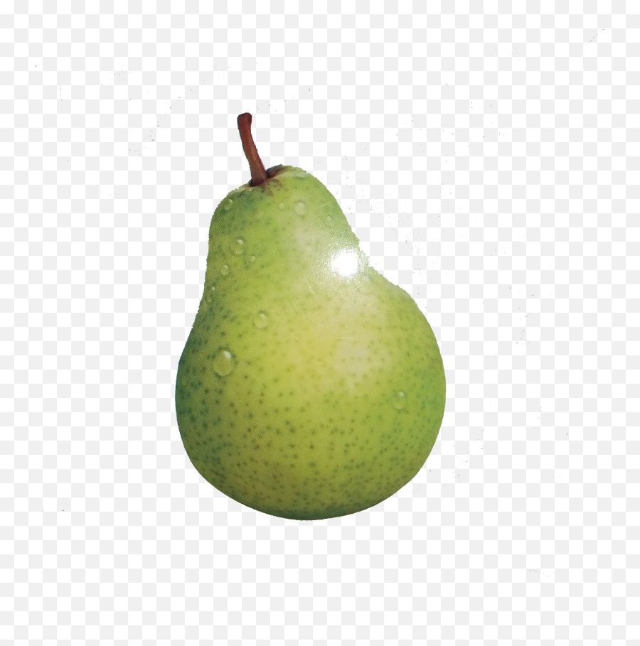 European Pear Fruit - Pears Pictures Png Download 2397 Pear,Pear Png