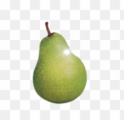 European Pear Fruit - Pears Pictures Png Download 2397 Pear,Pear Png