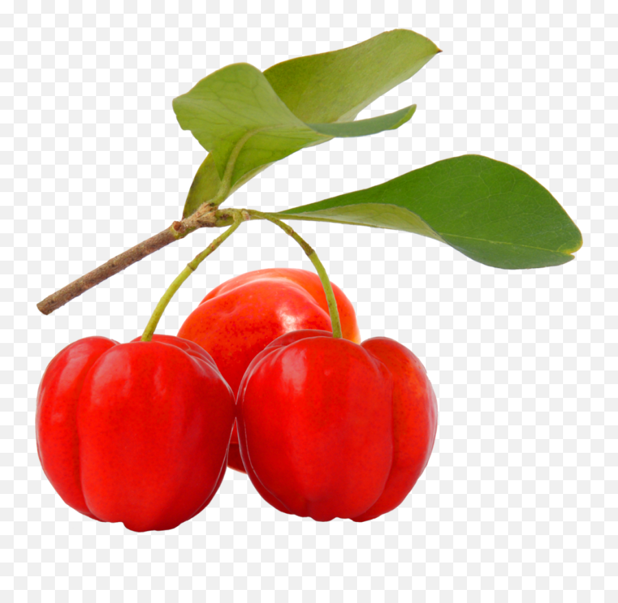 Acerola Cherry Png Image - Acerola Cherry Png,Cherry Png