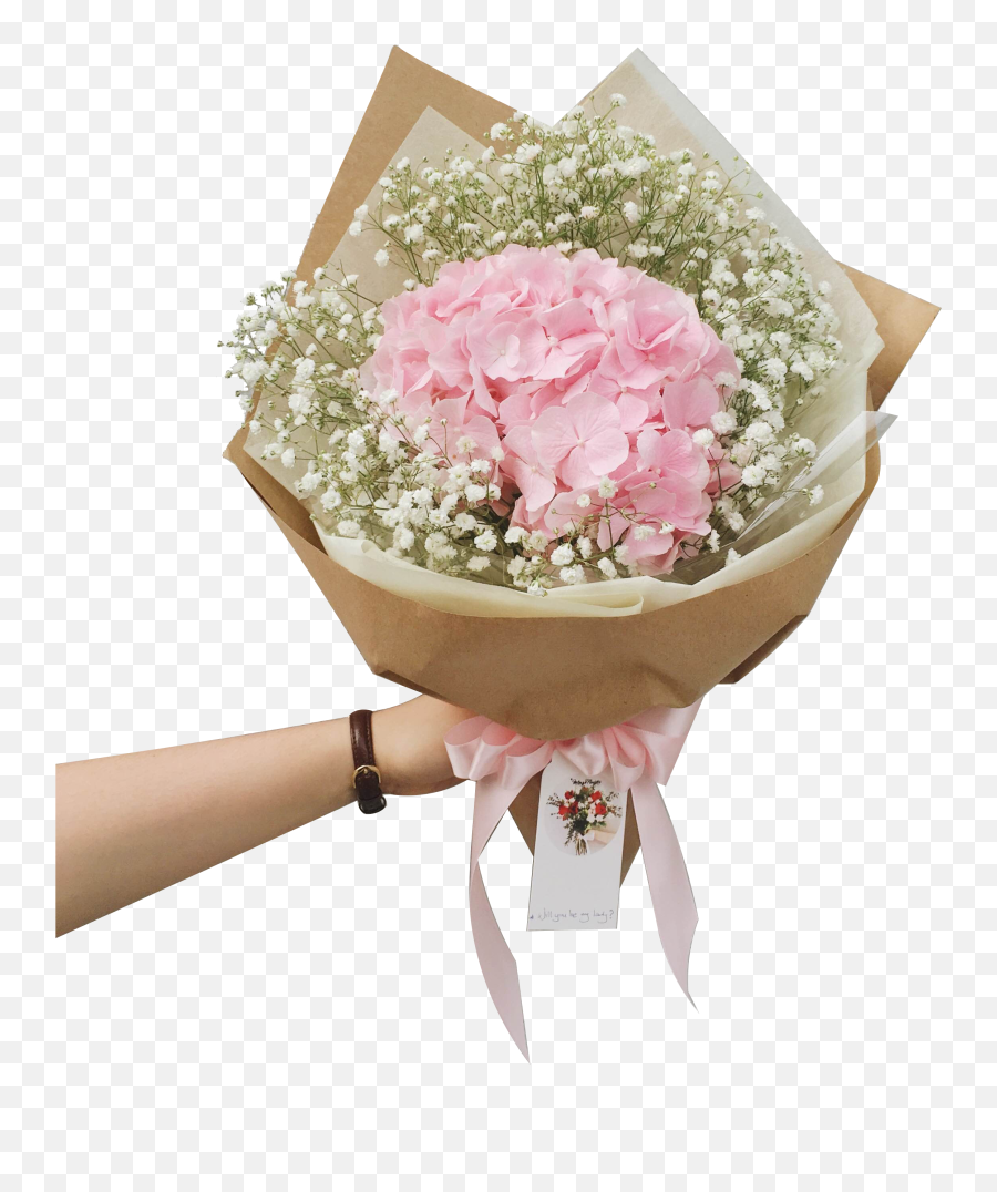 Bella - Baby Breath Flower Bouquet Png,Baby's Breath Png