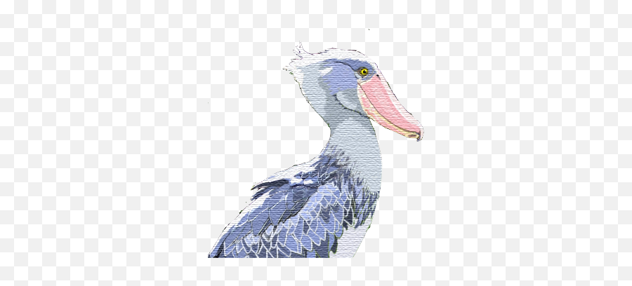 S Number 1 Is For Shoebill Stork Lizbrownlee - Poet Shoebill Stork Png,Stork Png