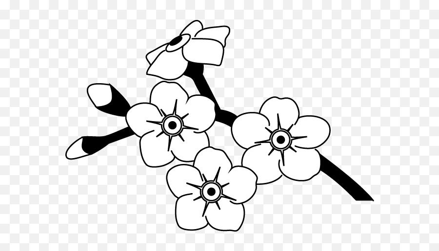 Alpine Forget Me Not Svg Free Outline - Forget Me Not Flowers To Drawing Png,Forget Me Not Png