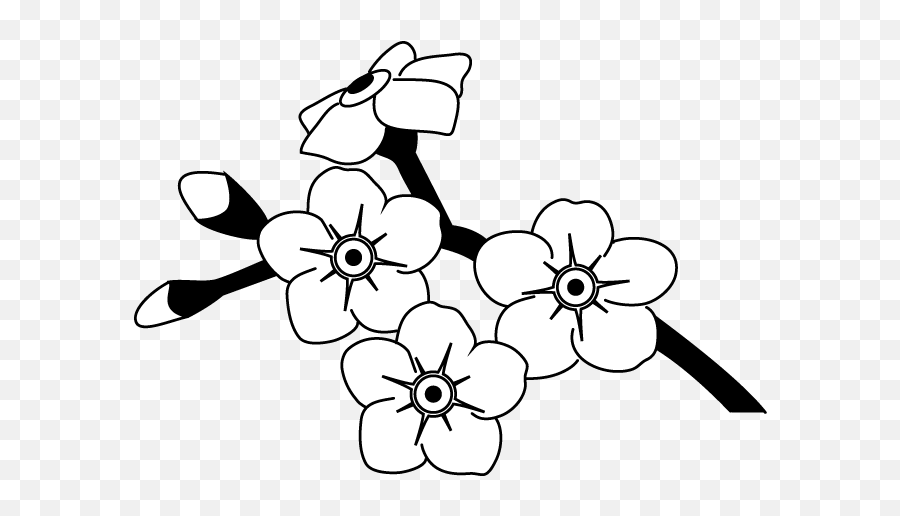 Alpine Forget Me Not Svg Free Outline Forget Me Not Flowers To Drawing Png Forget Me Not Png Free Transparent Png Images Pngaaa Com