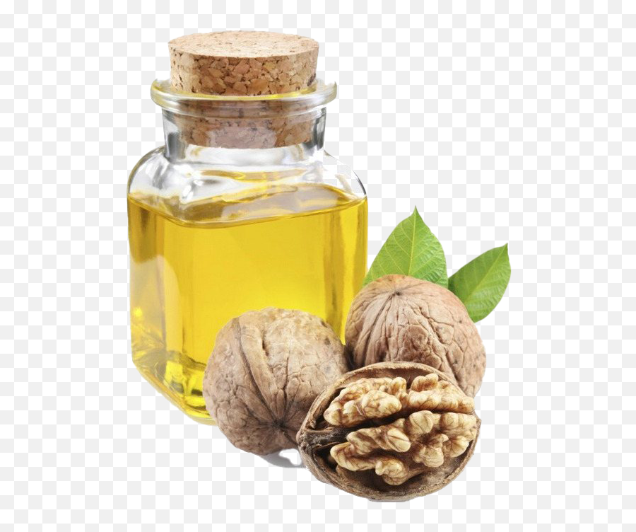 Walnut Oil Png Clipart - Walnut And Chestnut Difference,Walnut Png