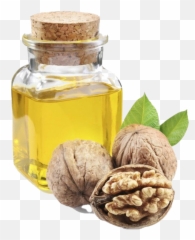 Walnut Oil Png Clipart - Walnut And Chestnut Difference,Walnut Png