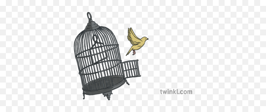 Freedom Bird Cage Illustration - Twinkl Sizzling Starts To Narratives Png,Bird Cage Png