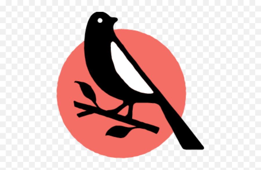 Speakers U2013 Mockingbird Events - Perching Bird Png,Mockingbird Png