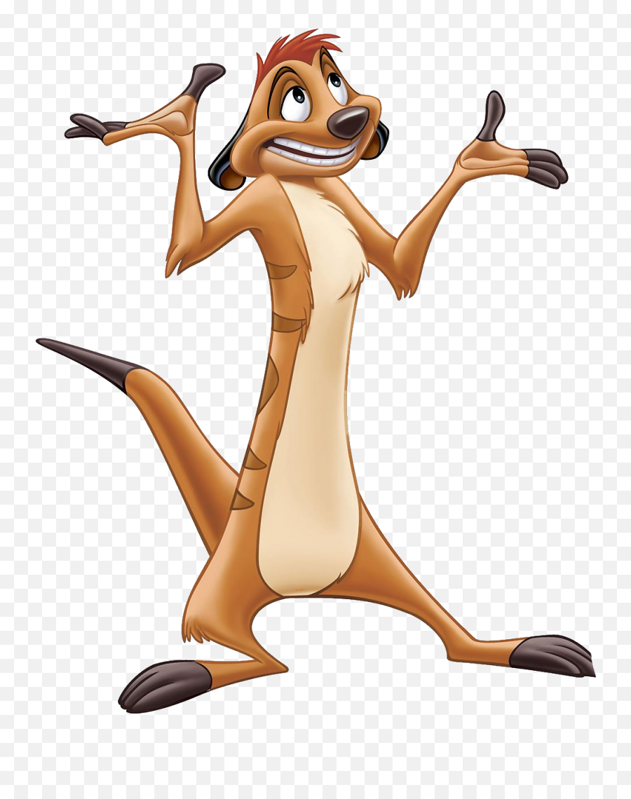 Lion King Png Picture Web Icons - Timon From Lion King,King Png