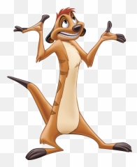 Lion King Png Picture Web Icons - Timon From Lion King,King Png