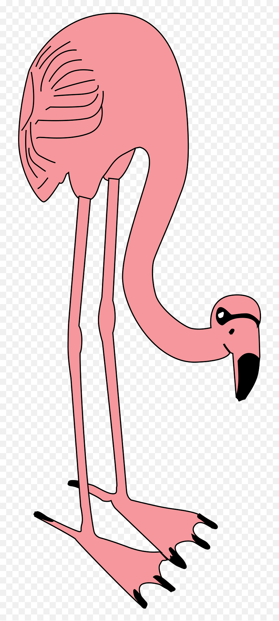 Pink Flamingo Clipart Png