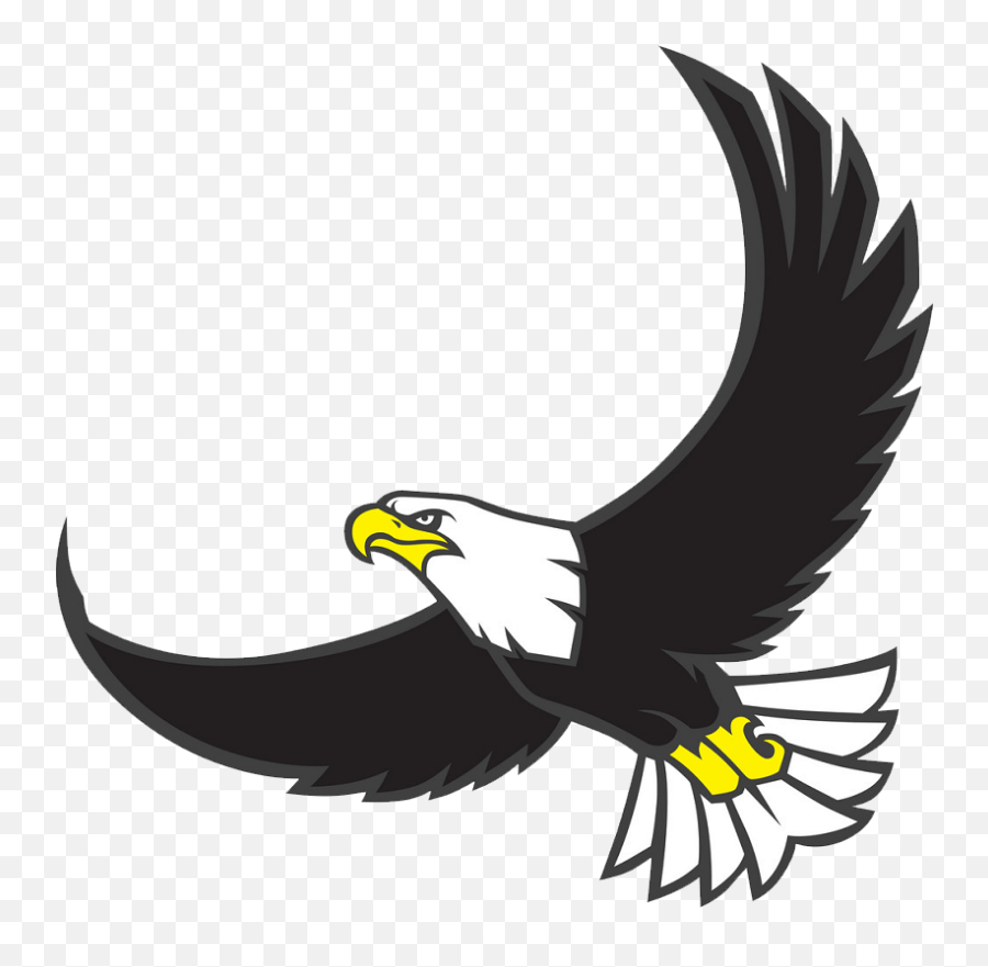 Eagle Head Png - Clipart World Logo Vector Flying Eagle,Eagle Feather Png
