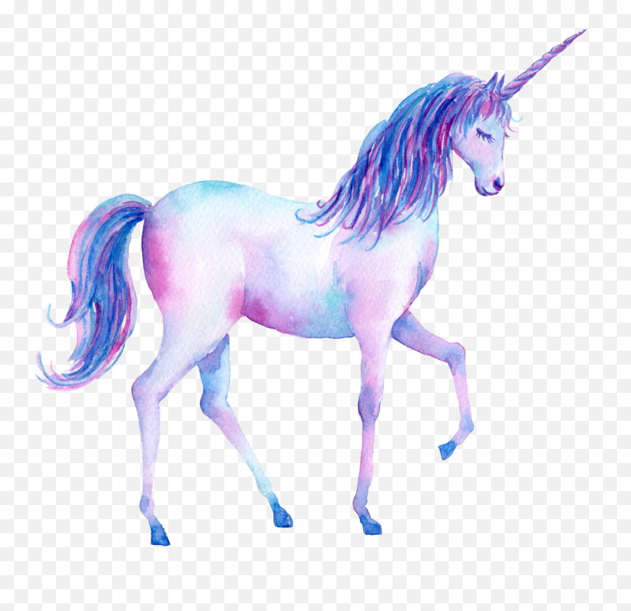 Unicorn Walking - Unicorn Walking On A Rainbow Png,Rainbow Unicorn Png