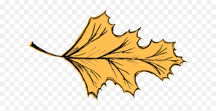 Leaf Drawing Vector Eps Svg Png Transparent Onlygfxcom - Lovely,Gold Leaves Png