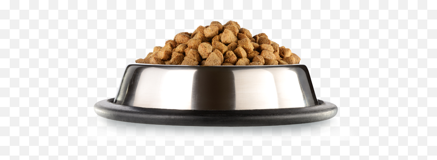 Dog Food Png Picture - Dog Food Plate Png,Dog Food Png