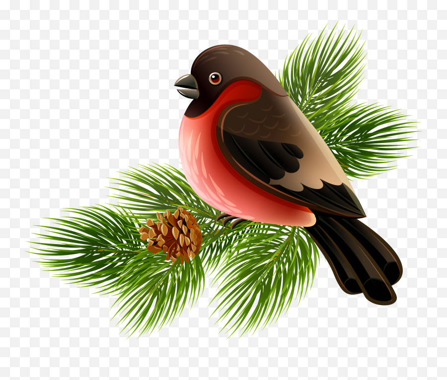 Pine Branch Png Clipart Image