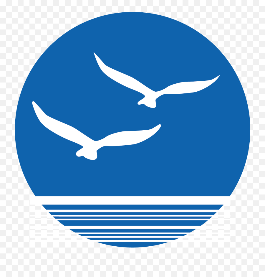Bird Euclidean Vector - Turismo Nautico Icono Png,Seagull Icon
