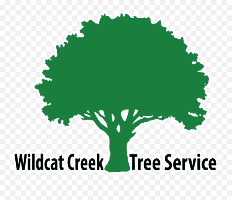 Firewood For Sale In Lafayette Indiana Wildcat Creek Tree - Blackwood Butchers Of Streetly Png,Wildcat Icon