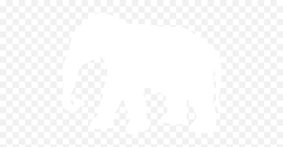White Elephant 7 Icon - Free White Animal Icons White Elephant Icon Png,Elephant Icon Png