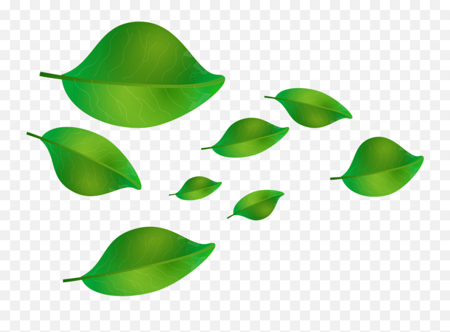 Leaves Graphics Leaf - Free Image On Pixabay Hojas Verdes Hojas Cayendo Png,Tea Leaf Icon