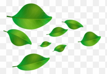 Leaves Graphics Leaf - Free image on Pixabay Hojas Verdes Cayendo Png