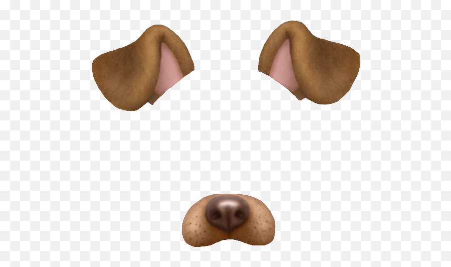 Snapchat Dog Face Png 6 Image - Snapchat Dog Filter Transparent Png,Dog Face Png