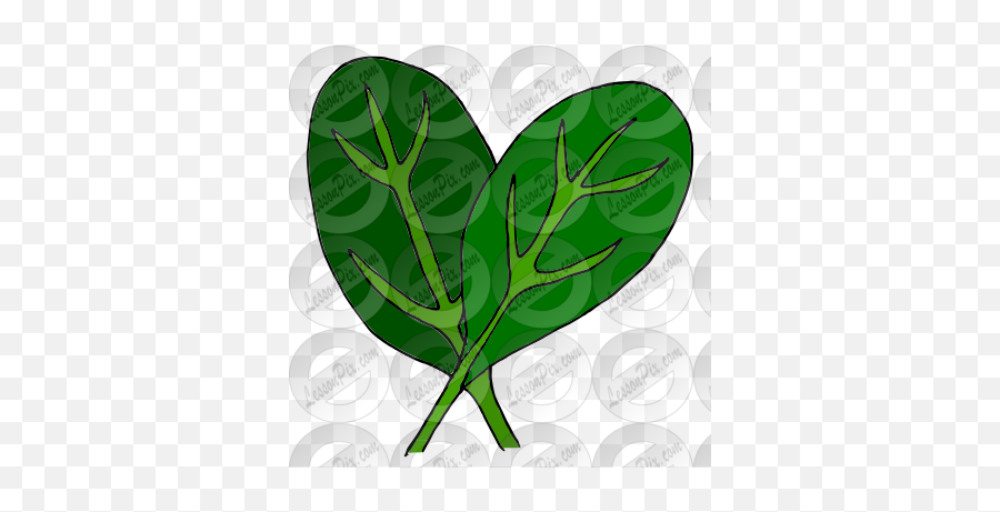 Spinach Picture For Classroom Therapy Use - Great Spinach Png,Leafyishere Icon