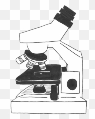 Microscope Invisible Bg U2013 Bootleg Biology - Illustration Png,Microscope Transparent Background