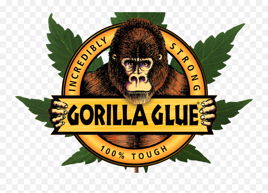 Settlement Reached In Gorilla Glue Marijuana Battle - Gorilla Glue Logo Png,Gorilla Logo
