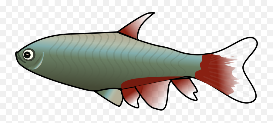 Cartoon Fish Clip Art Outline Free - Fish Clip Art Png,Fish Outline Png