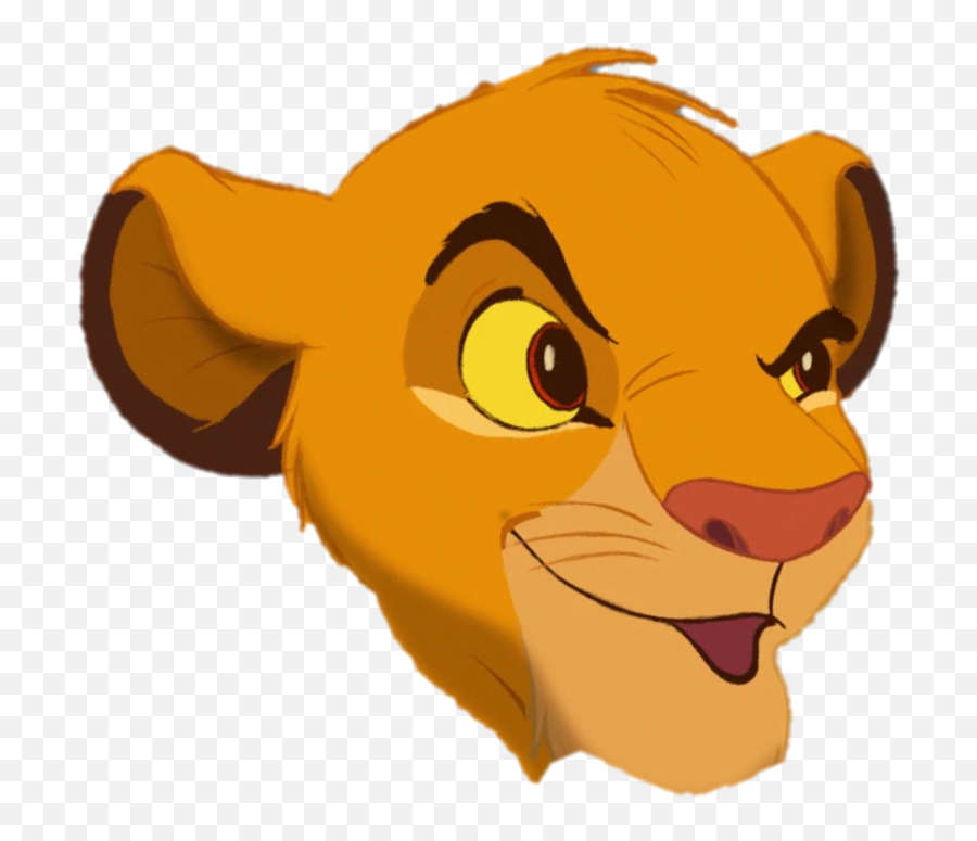 Simba Nala Shenzi Mufasa Lion - Lion King Simba Faces Png,Nala Png