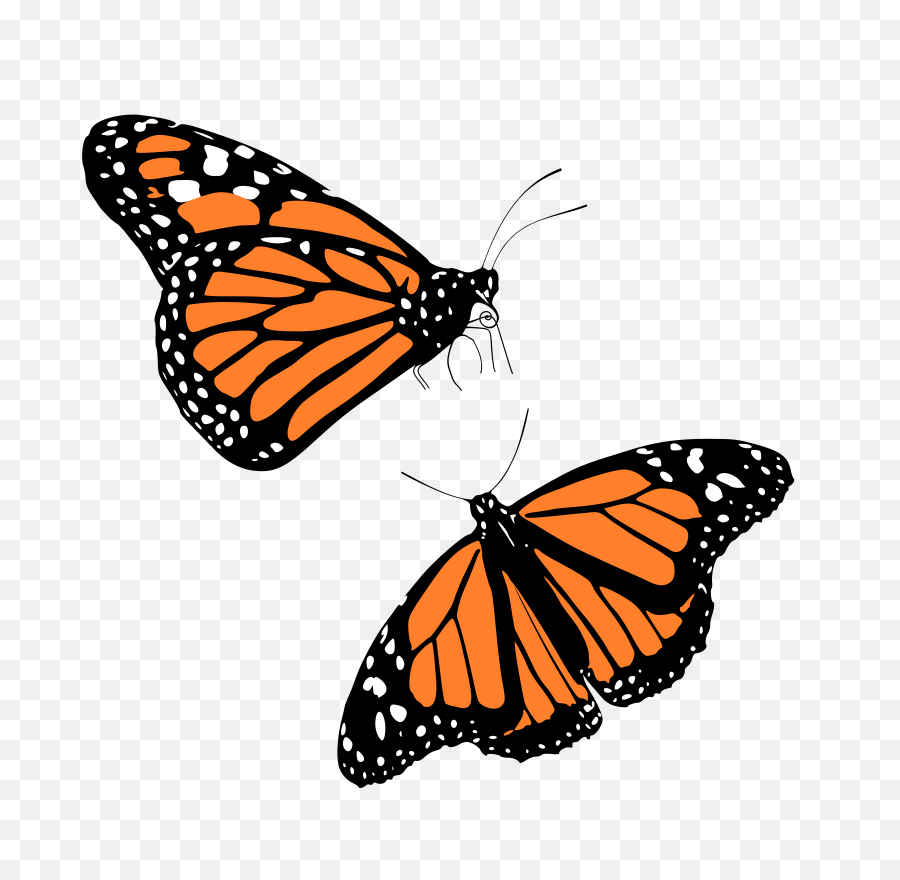 Monarch Butterfly Clip Art - Butterfly Png Download 600 Monarch Butterfly Clipart Transparent Background,Butterfly Png Clipart