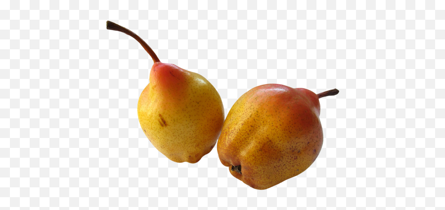 Fresh Ripe Pear Png Image - Pngpix Food,Pear Png