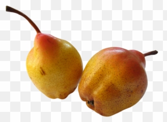 Fresh Ripe Pear Png Image - Pngpix Food,Pear Png