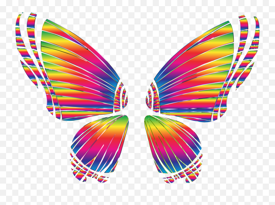Rgb Butterfly Silhouette 10 8 No Background Png Wing