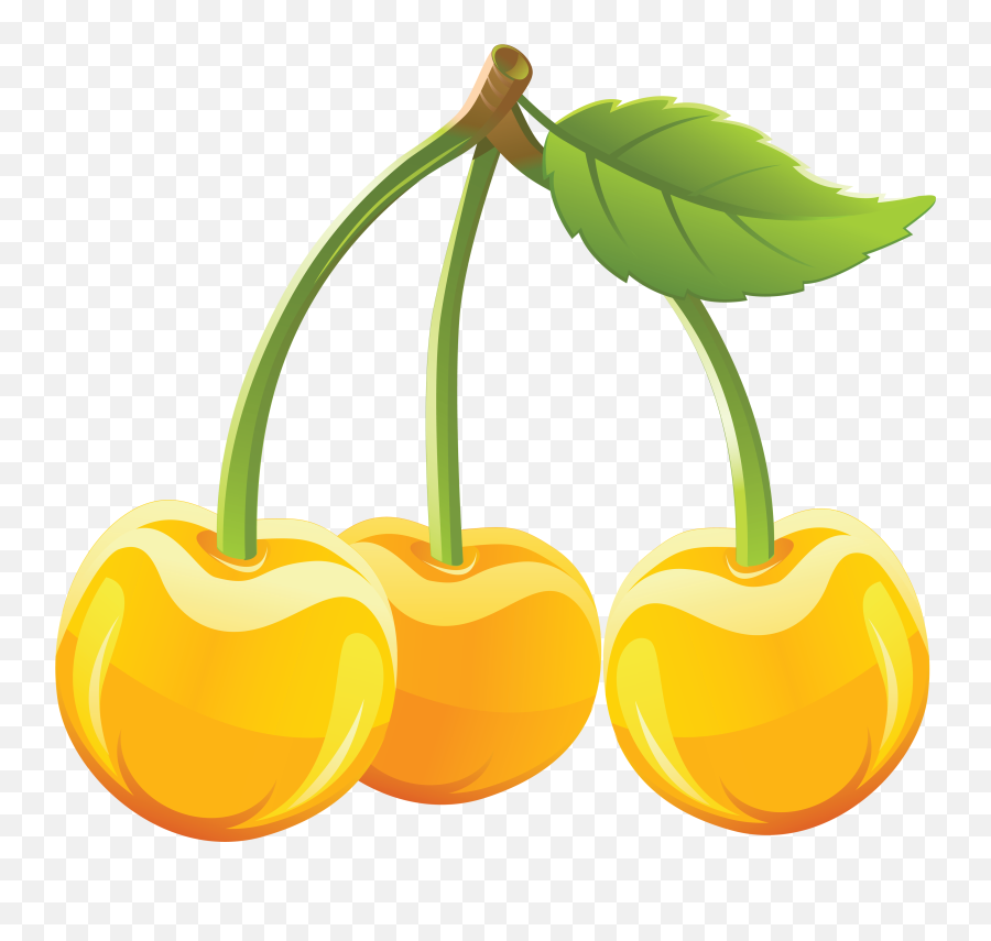 Download Cherries Png Image For Free - Yellow Cherries Png,Cherry Png
