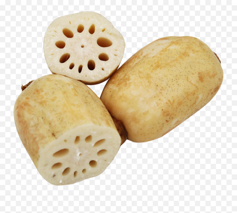 Lotus Root Png Image - Lotus Root Png,Lotus Transparent Background