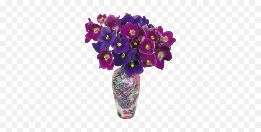 Violets Png Images - Flowerpot,Violets Png