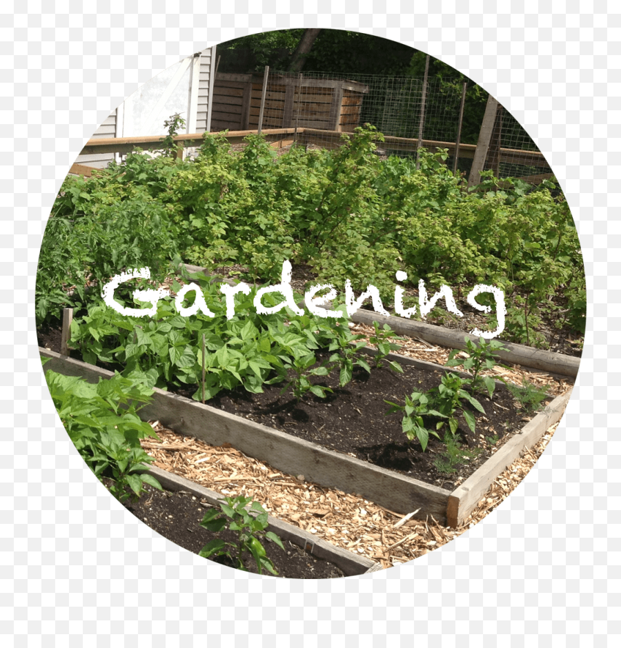 Download Hd The Homestud Gardening Transparent Png Image - Yard,Gardening Png