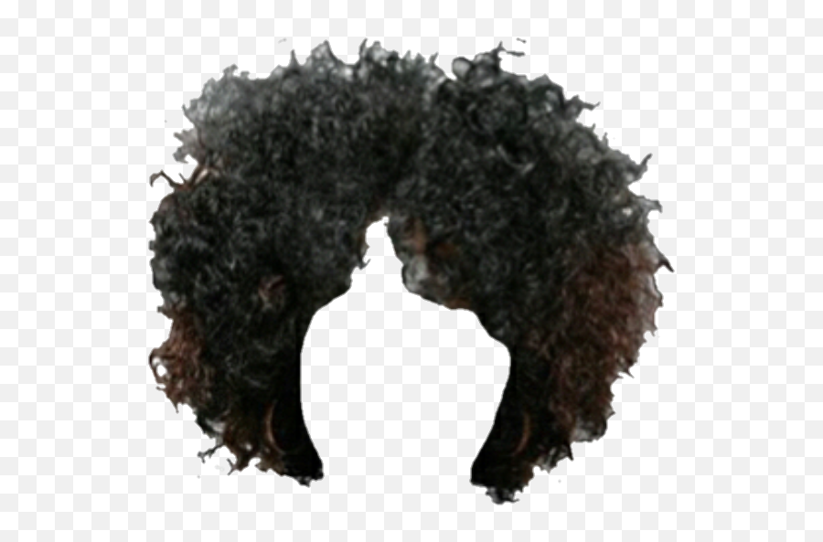 Hair Brownhair Afro Wig Snatched Sticker By Jaklynn - Afro Wig Png,Wig Transparent Background