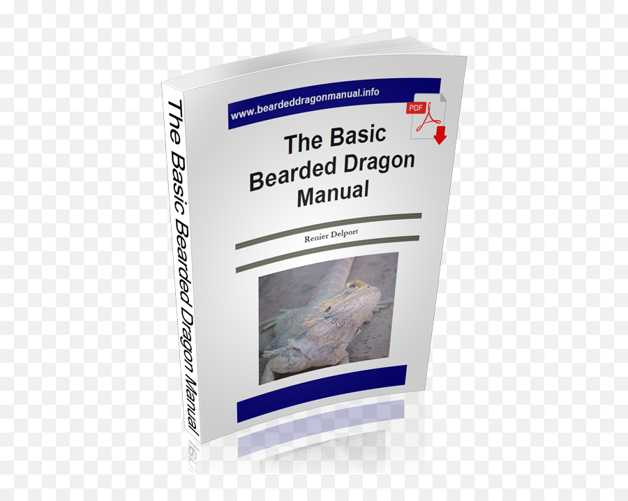 The Basic Bearded Dragon Manual - Whale Shark Png,Bearded Dragon Png