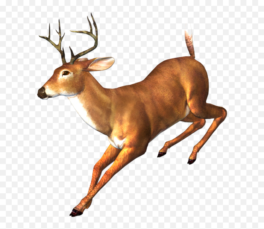 Transparent Png Deer Running - Transparent Deer Running Png,Deer Transparent