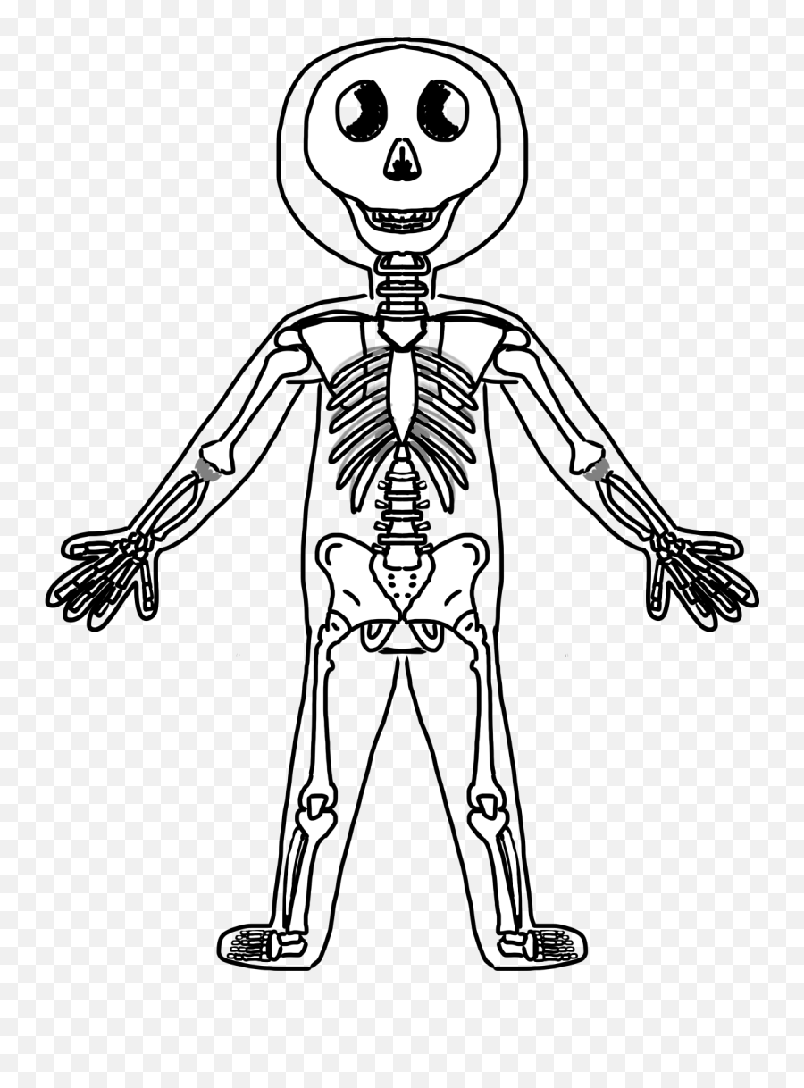 Download Fun Skeleton Cliparts Zone - Body Skeleton Clipart Png,Skelton Png