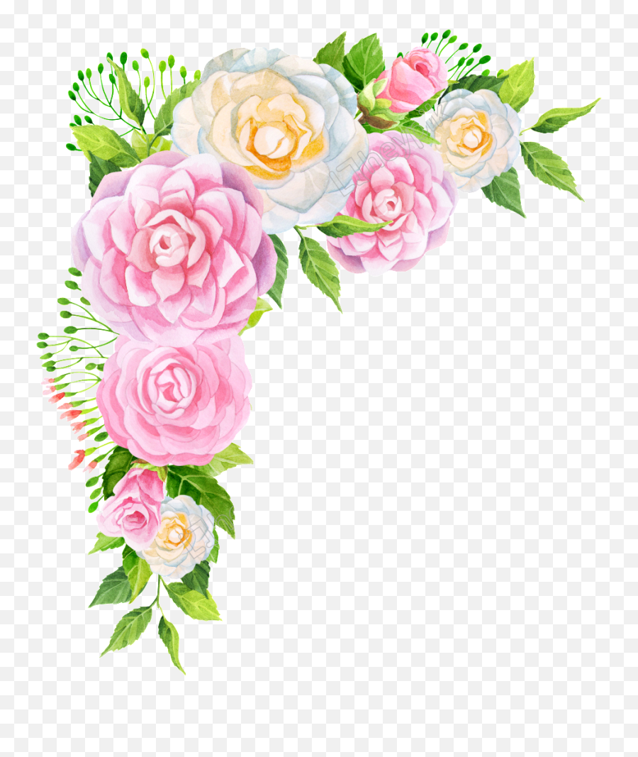 Garden Roses Floral Design Peony Pink Flower - Peony Png Flowers Png Free Download,Peony Transparent